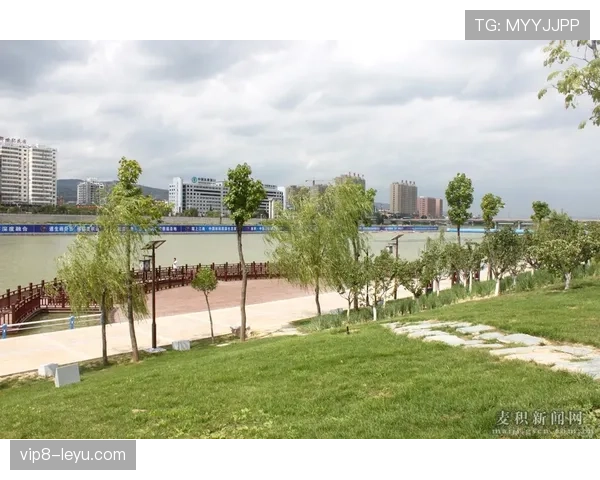 泰国队积极备战,集训动态显示球队团结与拼搏精神持续提升